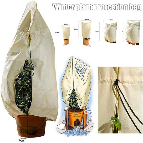 Anti-freeze Plant Cover